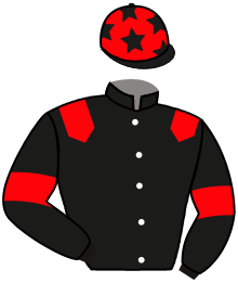 casaque portée par Caron Mr B. jockey du cheval de course GIROLLE DE SIVOLA, information pmu ZETURF