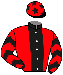 casaque portée par Mayeur R. jockey du cheval de course SATURNE PELEM, information pmu ZETURF