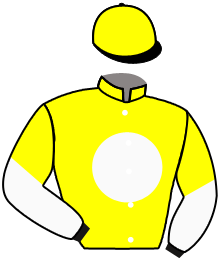 casaque portée par Poincot Chr. jockey du cheval de course JOLIFOU DE GUYE, information pmu ZETURF