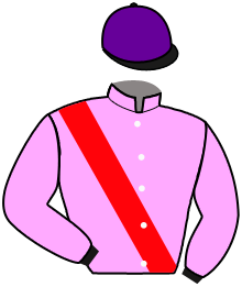 casaque portée par Marchand Bas. jockey du cheval de course TERRALUNA, information pmu ZETURF