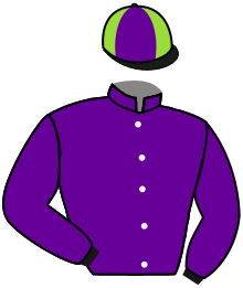 casaque portée par Le Clerc B. jockey du cheval de course EASY STAR, information pmu ZETURF