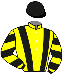 casaque portée par Gelhay B. jockey du cheval de course CICCIO GIRL, information pmu ZETURF