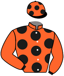 casaque portée par Marchand Bas. jockey du cheval de course BORVO, information pmu ZETURF