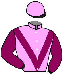 casaque portée par Philipperon L. jockey du cheval de course PRESTIGE D'OLVA, information pmu ZETURF