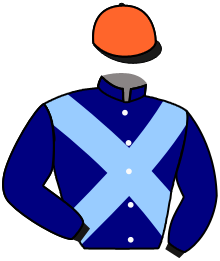 casaque portée par Reveley J. jockey du cheval de course JONJO BRAVO, information pmu ZETURF