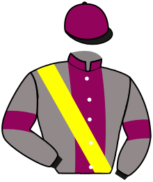 casaque portée par Valle Skar Mlle F. jockey du cheval de course EMPIRIC, information pmu ZETURF casaque portée par Valle Skar Mlle F. jockey du cheval de course EMPIRIC, information pmu ZETURF