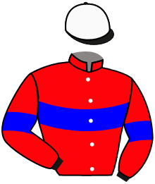 casaque portée par Riou C. jockey du cheval de course LUCKY VILLE, information pmu ZETURF casaque portée par Riou C. jockey du cheval de course LUCKY VILLE, information pmu ZETURF