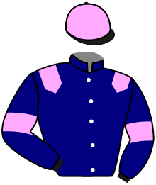 casaque portée par Duvacher A. jockey du cheval de course LINKA MOON, information pmu ZETURF casaque portée par Duvacher A. jockey du cheval de course LINKA MOON, information pmu ZETURF