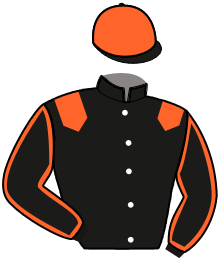 casaque portée par Dromigny T. jockey du cheval de course MUSTANGA DU NOYER, information pmu ZETURF casaque portée par Dromigny T. jockey du cheval de course MUSTANGA DU NOYER, information pmu ZETURF