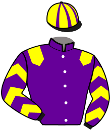 casaque portée par Garandeau A. jockey du cheval de course MOON DES RIOULTS, information pmu ZETURF casaque portée par Garandeau A. jockey du cheval de course MOON DES RIOULTS, information pmu ZETURF