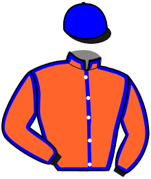casaque portée par Verva Pie. Y. jockey du cheval de course LICARI, information pmu ZETURF casaque portée par Verva Pie. Y. jockey du cheval de course LICARI, information pmu ZETURF