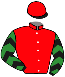 casaque portée par Guedj-gay G. jockey du cheval de course NOLITO, information pmu ZETURF casaque portée par Guedj-gay G. jockey du cheval de course NOLITO, information pmu ZETURF