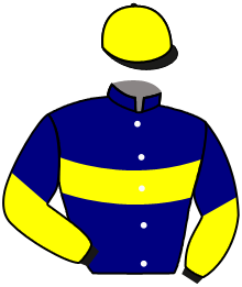 casaque portée par Veron F. jockey du cheval de course BLOU LAGOON, information pmu ZETURF casaque portée par Veron F. jockey du cheval de course BLOU LAGOON, information pmu ZETURF