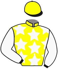 casaque portée par Provost D. jockey du cheval de course A BEAUREGARD, information pmu ZETURF casaque portée par Provost D. jockey du cheval de course A BEAUREGARD, information pmu ZETURF