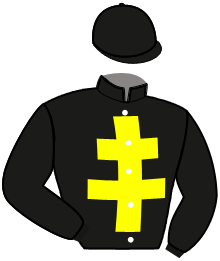 casaque portée par Raffin E. jockey du cheval de course KASH DES RIOULTS, information pmu ZETURF