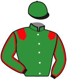 casaque portée par Dersoir Mlle C. jockey du cheval de course JAGUAR DU RIB, information pmu ZETURF