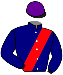 casaque portée par Abrivard A. jockey du cheval de course MAHARINA SUN, information pmu ZETURF casaque portée par Abrivard A. jockey du cheval de course MAHARINA SUN, information pmu ZETURF