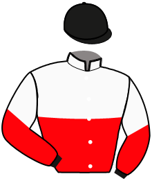 casaque portée par Lamy R. jockey du cheval de course LARA MAKS, information pmu ZETURF