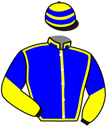casaque portée par Hamelin A. jockey du cheval de course INCREMENTAL, information pmu ZETURF