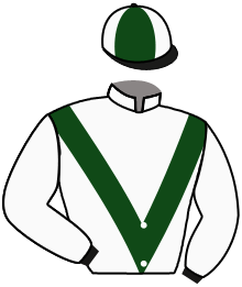 casaque portée par Grandin Mar. jockey du cheval de course HAVIASSOR, information pmu ZETURF