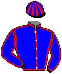casaque portée par Roussel Leo jockey du cheval de course BEAU ROMAN, information pmu ZETURF