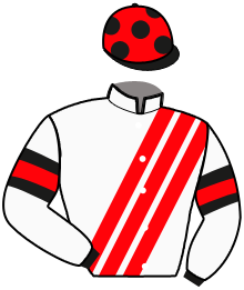 casaque portée par Madamet A. jockey du cheval de course LANDOLFO, information pmu ZETURF