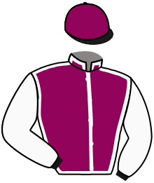 casaque portée par Mr Karl Bataille jockey du cheval de course HAPPY HUNTER, information pmu ZETURF