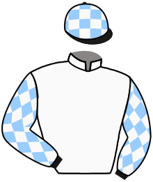 casaque portée par Baron Axe. jockey du cheval de course DRAPEAU BLANC, information pmu ZETURF