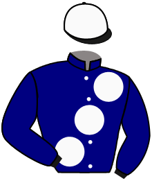 casaque portée par Lefebvre F. jockey du cheval de course DSCHINGIS HEIGHTS, information pmu ZETURF