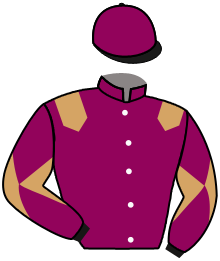 casaque portée par Lebouc Hug. jockey du cheval de course ILLUSTRE BERE, information pmu ZETURF