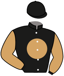 casaque portée par Boisseau L. jockey du cheval de course BIG RED SOLO, information pmu ZETURF casaque portée par Boisseau L. jockey du cheval de course BIG RED SOLO, information pmu ZETURF