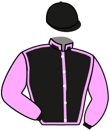 casaque portée par Flament B. jockey du cheval de course ROSE NOIR, information pmu ZETURF casaque portée par Flament B. jockey du cheval de course ROSE NOIR, information pmu ZETURF