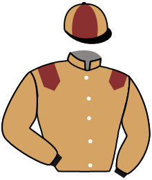 casaque portée par Gallo Mlle L. jockey du cheval de course MOWAEVA, information pmu ZETURF casaque portée par Gallo Mlle L. jockey du cheval de course MOWAEVA, information pmu ZETURF