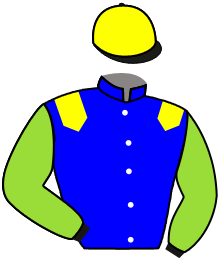 casaque portée par Lecoeuvre C. jockey du cheval de course HERODION, information pmu ZETURF casaque portée par Lecoeuvre C. jockey du cheval de course HERODION, information pmu ZETURF