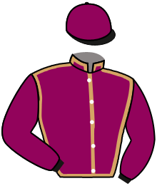 casaque portée par Sias Gio. jockey du cheval de course CICCIO BOY, information pmu ZETURF casaque portée par Sias Gio. jockey du cheval de course CICCIO BOY, information pmu ZETURF