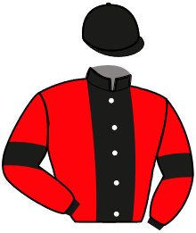 casaque portée par Lefebvre Mlle L. jockey du cheval de course ILEVEN, information pmu ZETURF
