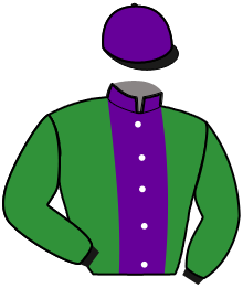 casaque portée par Raffin E. jockey du cheval de course LIONHEART, information pmu ZETURF