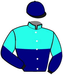 casaque portée par Ploquin Pau. Ph. jockey du cheval de course GLOBAL DUBHE, information pmu ZETURF