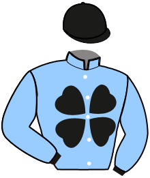 casaque portée par Desmigneux F. jockey du cheval de course KAMELIA DE JEAN, information pmu ZETURF casaque portée par Desmigneux F. jockey du cheval de course KAMELIA DE JEAN, information pmu ZETURF