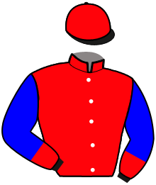 casaque portée par Verva Pie. Y. jockey du cheval de course LILY ROSE MYSTIC, information pmu ZETURF casaque portée par Verva Pie. Y. jockey du cheval de course LILY ROSE MYSTIC, information pmu ZETURF