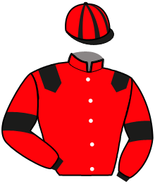 casaque portée par Thomain D. jockey du cheval de course LADY DU CHATELET, information pmu ZETURF