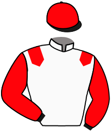 casaque portée par Claudic J. jockey du cheval de course DON SAINT ROCK, information pmu ZETURF casaque portée par Claudic J. jockey du cheval de course DON SAINT ROCK, information pmu ZETURF