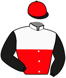 casaque portée par Pasquier S. jockey du cheval de course ETCHEBASTER, information pmu ZETURF casaque portée par Pasquier S. jockey du cheval de course ETCHEBASTER, information pmu ZETURF
