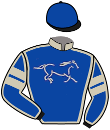 casaque portée par Lecoeuvre C. jockey du cheval de course CONCORDE AGREEMENT, information pmu ZETURF casaque portée par Lecoeuvre C. jockey du cheval de course CONCORDE AGREEMENT, information pmu ZETURF
