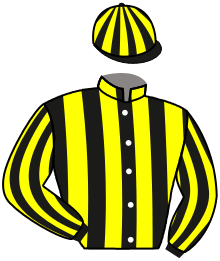 casaque portée par Trolley De Prevaux G. jockey du cheval de course AVATINE IMPACT, information pmu ZETURF casaque portée par Trolley De Prevaux G. jockey du cheval de course AVATINE IMPACT, information pmu ZETURF