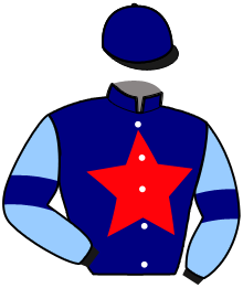 casaque portée par Bonne D. jockey du cheval de course NEWTON DE CORS, information pmu ZETURF