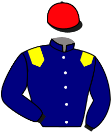 casaque portée par Levesque War. jockey du cheval de course RUE EBLE, information pmu ZETURF