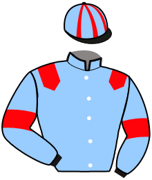 casaque portée par Saussaye V. jockey du cheval de course MILTON DREAM, information pmu ZETURF