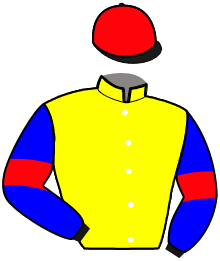 casaque portée par Roussel And. jockey du cheval de course HOLLYWOOD GIRL, information pmu ZETURF