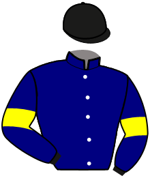 casaque portée par Raffin E. jockey du cheval de course NECTAR D'AVIGNERE, information pmu ZETURF casaque portée par Raffin E. jockey du cheval de course NECTAR D'AVIGNERE, information pmu ZETURF